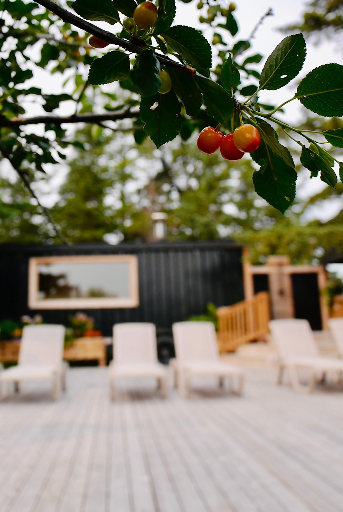 Orchard view loungers